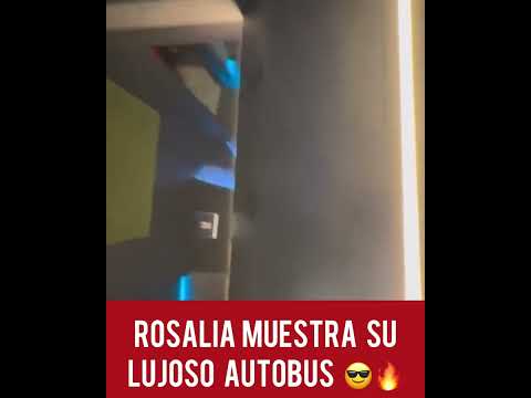 ASI ES EL ENORME AUTOBUS EN EL QUE VIAJA ROSALIA DURANTE SU GIRA 4 0 47